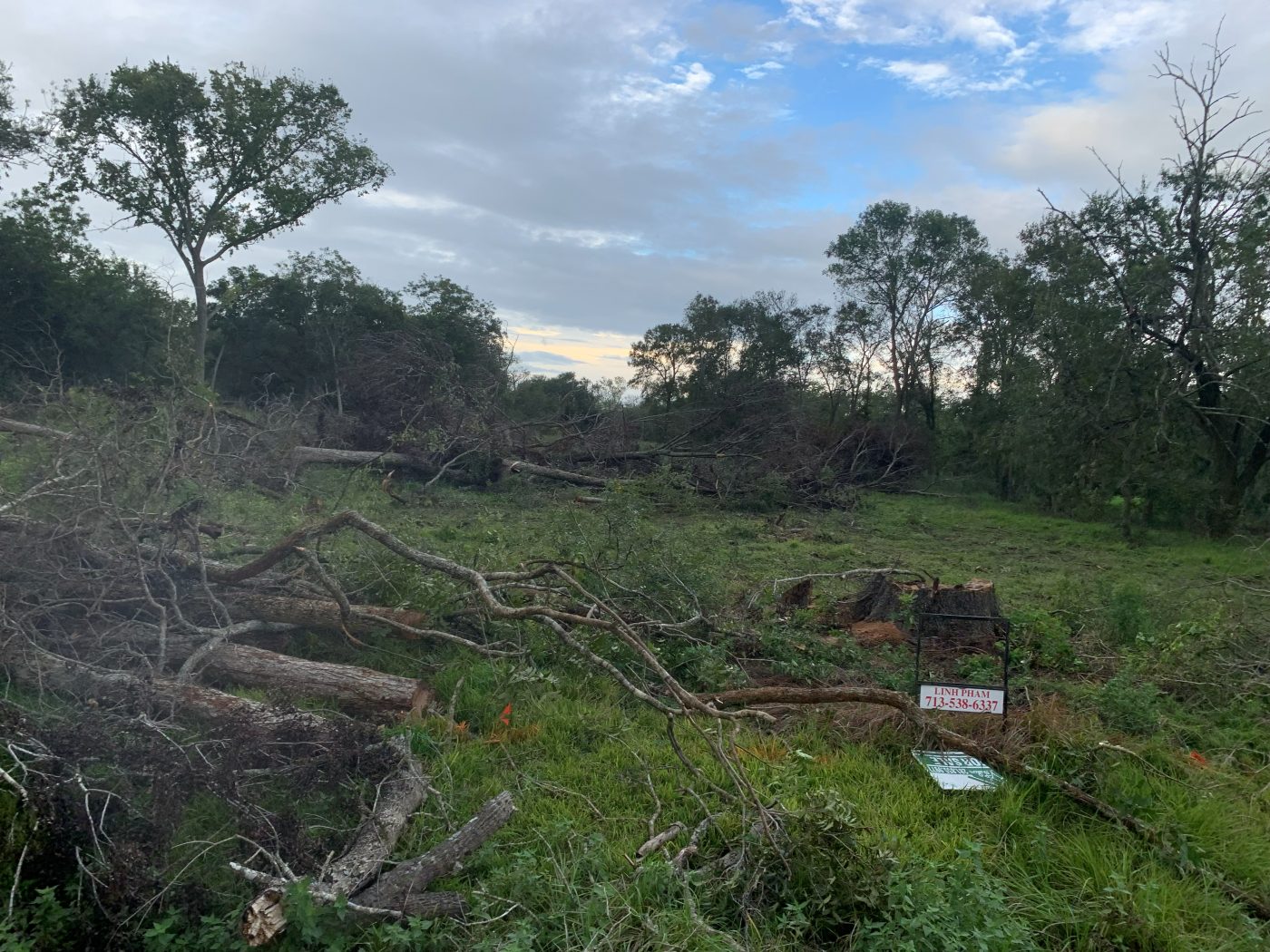 Storm-damaged lot being cleared by Greenwood Land Services